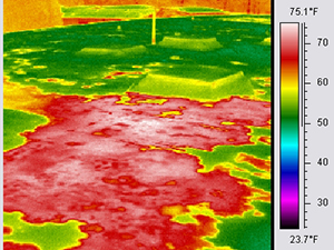 Infrared Survey