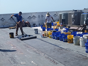 New Roof Thermoplastic Membrane